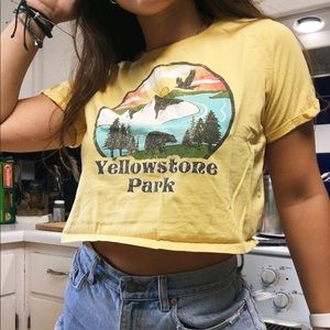 Yellowstone Park Graphic Crop T-shirt!
